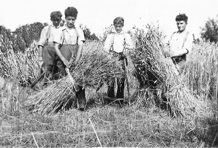 Camiel Van Landschoot was vader van 10 kinderen - Maurits Van Landschoot was de oudste. Foto's: H. Van Landschoot
